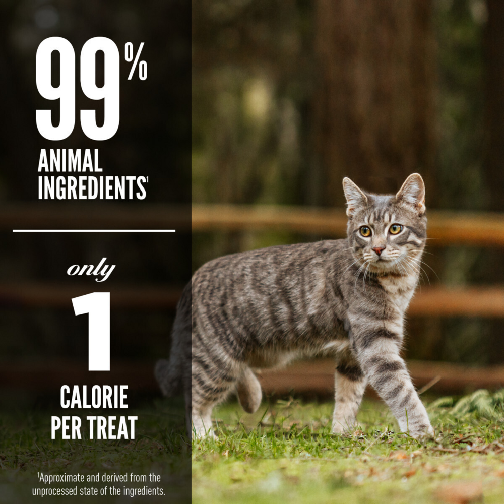 Orijen Grain Free Six Fish Freeze Dried Cat Treats