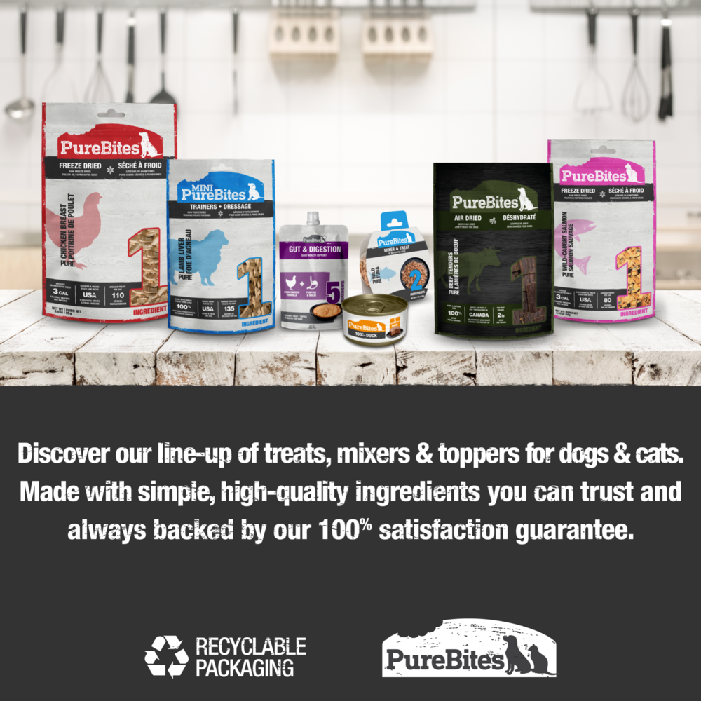 PureBites Freeze Dried Ocean Fish Cat Treats