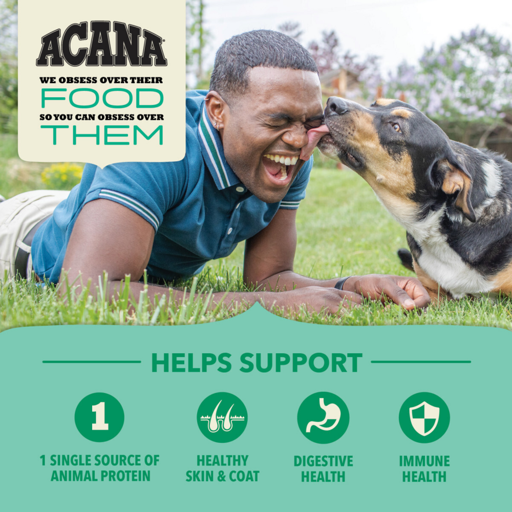 Acana Wholesome Grains, Lamb & Pumpkin Recipe, Limited Ingredient Diet Dry Dog Food
