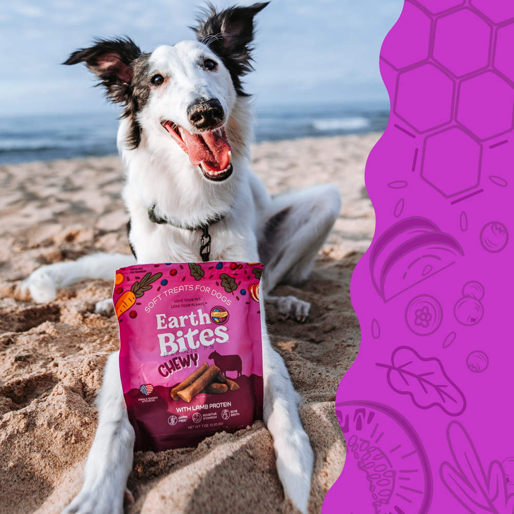 Earthbites Chewy Lamb Dog Treats