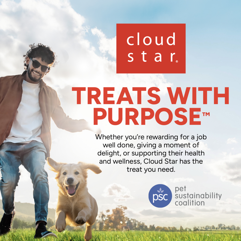 Cloud Star Dynamo Dog Functional Soft Chews Skin and Coat Salmon Dog Treats