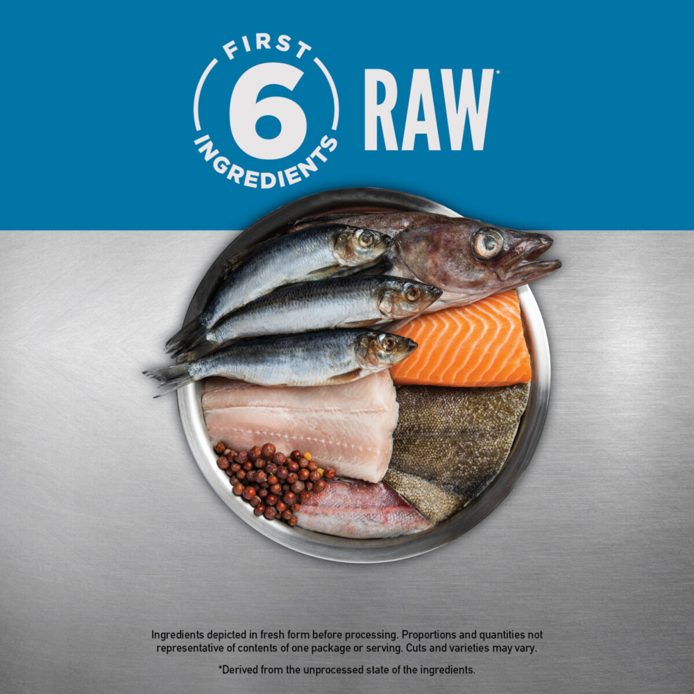 ORIJEN Grain Free Six Fish Dry Cat Food