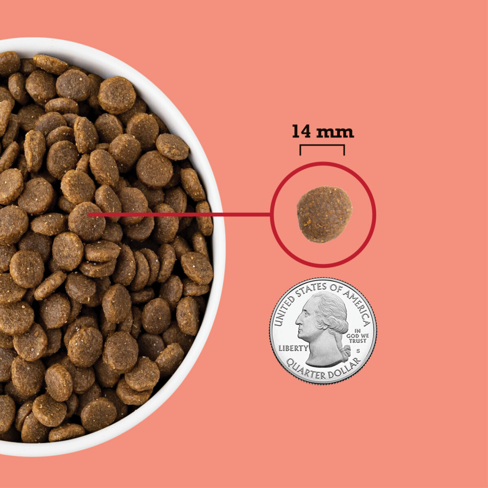 Acana Red Meat Recipe Dry Dog Food