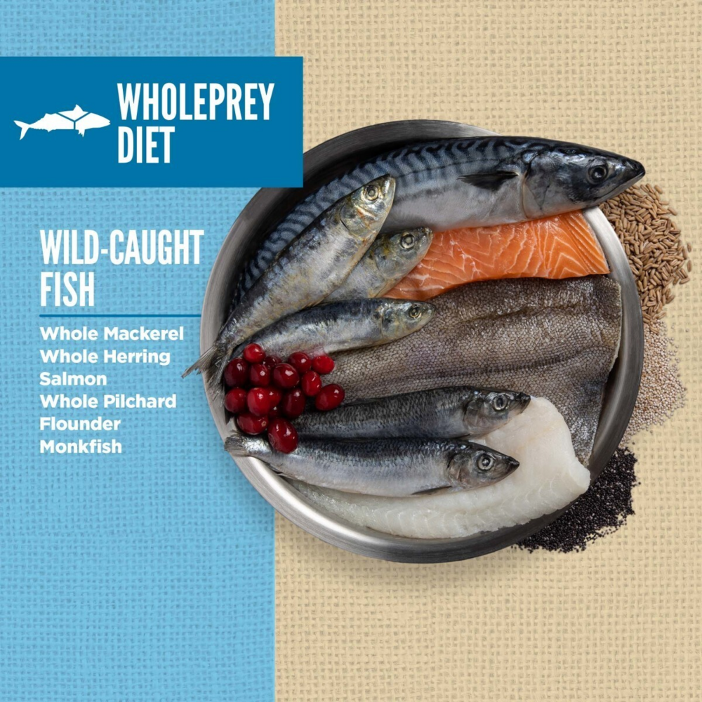 Orijen Amazing Grains Six Fish Dry Dog Food Mackerel, Herring, Salmon, Pilchard, Flounder & Monkfish