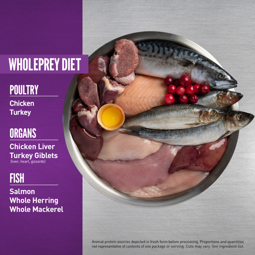 Orijen Grain Free, Premium, High Protein, Fresh & Raw Animal Ingredients Dry Kitten Food