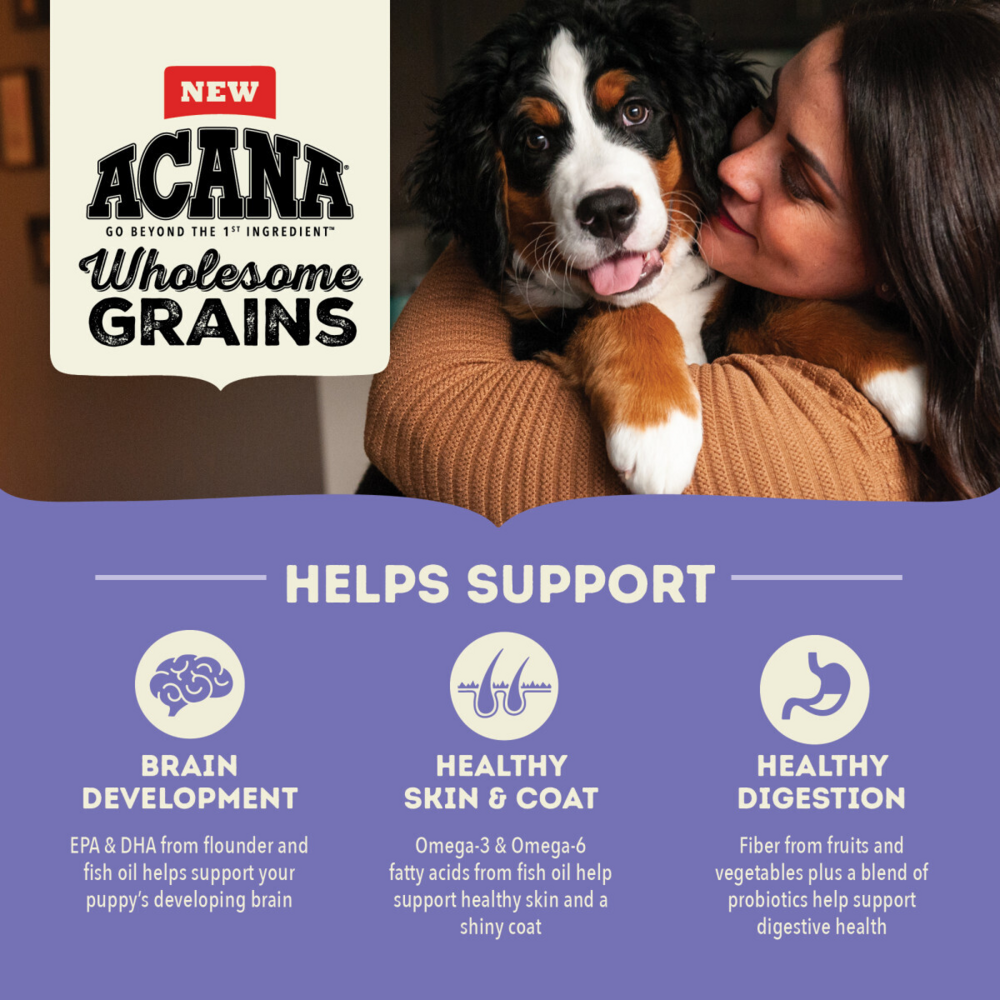 Acana Wholesome Grains Puppy Large Breed Food