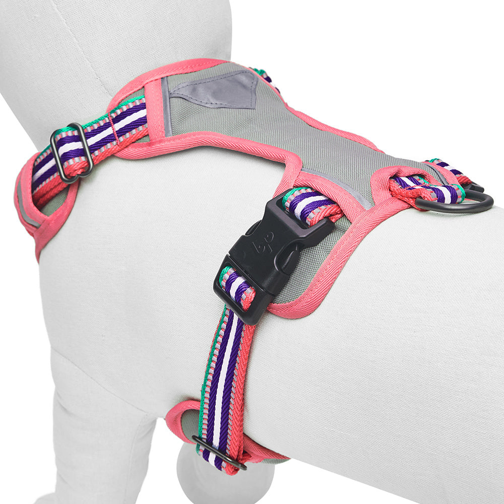 Blueberry Pet Soft & Comfy 3M Reflective Stripe Mesh Padded No Pull Dog Harness Vest, Pink Emerald and Orchid