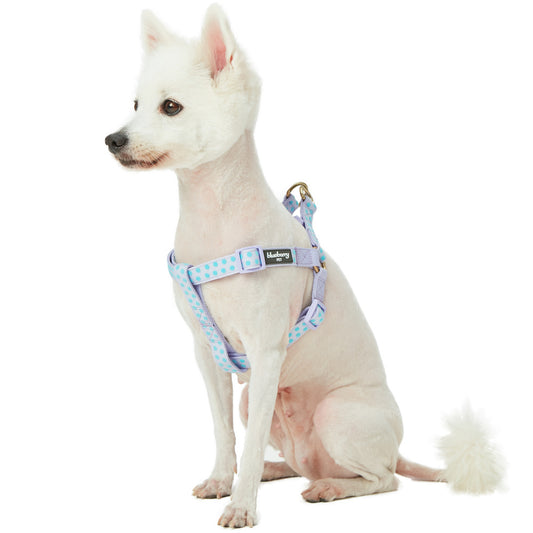 Blueberry Pet Step-in Velvety Polka Dot Flocking Dog Harness in Pastel Purple