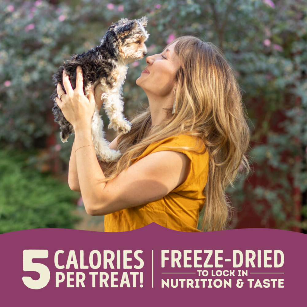 Acana Singles Freeze Dried Dog Treats Grain Free Lamb & Apple Recipe
