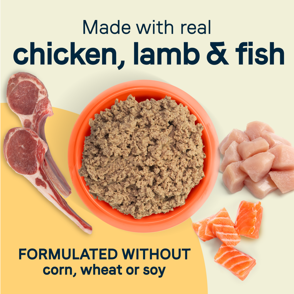 Canidae All Life Stages Wet Dog Food, Multi-Protein Formula with Chicken, Lamb & Fish, 13 oz.
