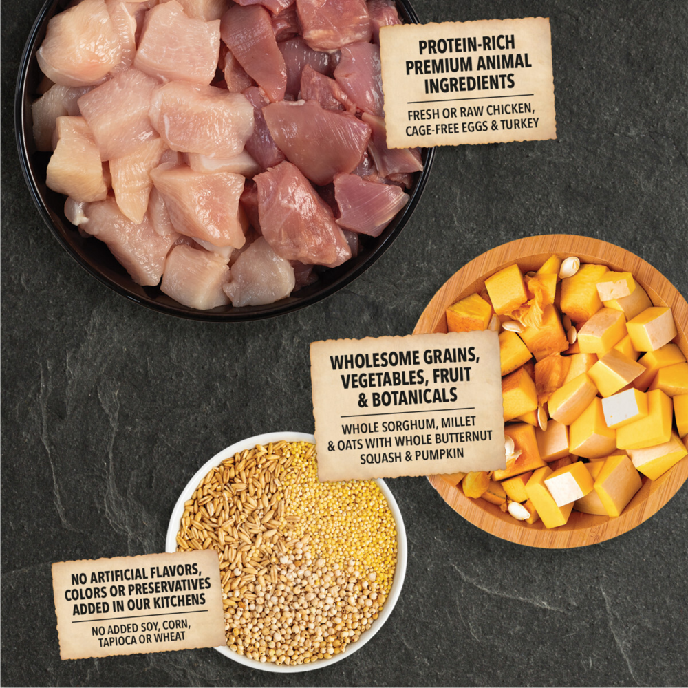 Acana Wholesome Grains Small Breed Recipe, Real Chicken, Eggs & Turkey Dry Dog Food