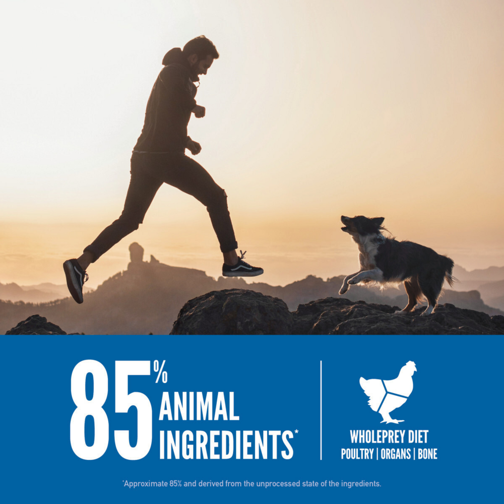 ORIJEN Original Dry Dog Food