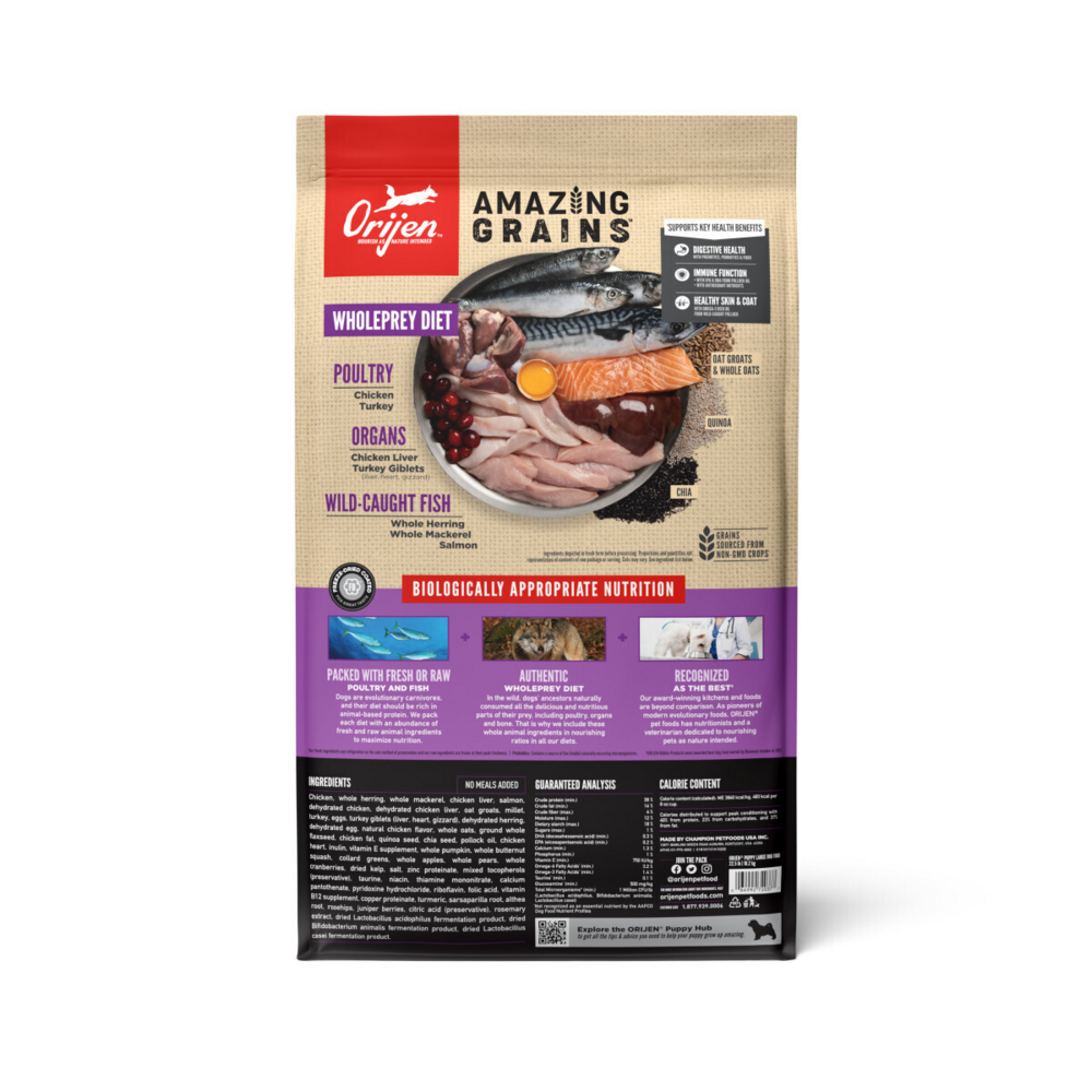 ORIJEN High Protein Amazing Grains Large Breed Puppy Dry Dog Food