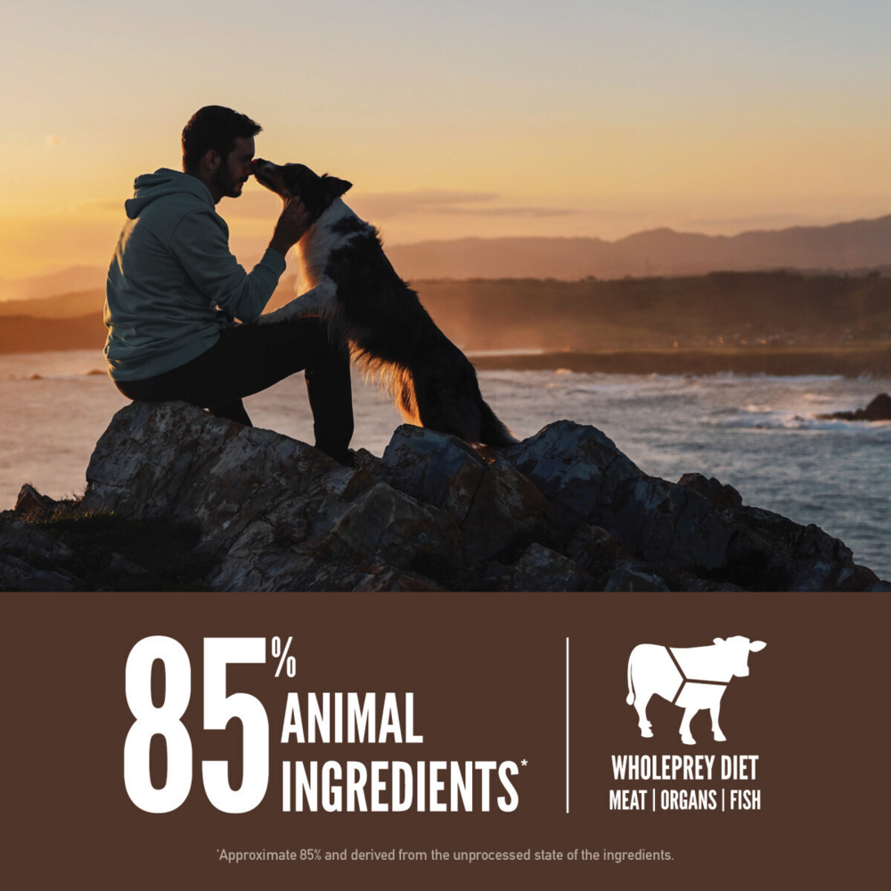 Orijen Regional Red Dry Dog Food