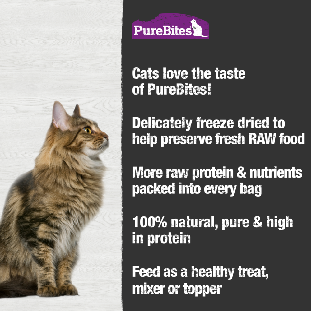 PureBites Freeze Dried Ocean Fish Cat Treats