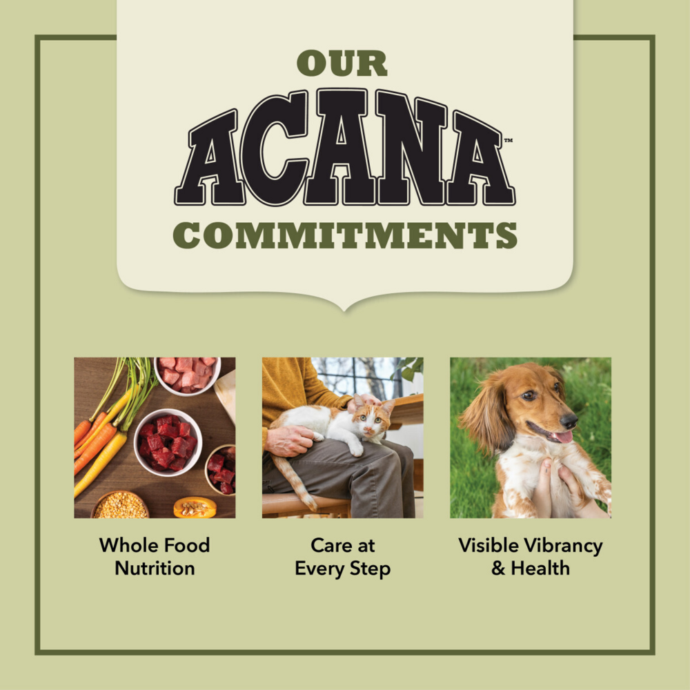 ACANA Freeze Dried Dog Food & Topper, Grain Free, High Protein,  Fresh & Raw Animal Ingredients, Free-Run Turkey Recipe, Morsels