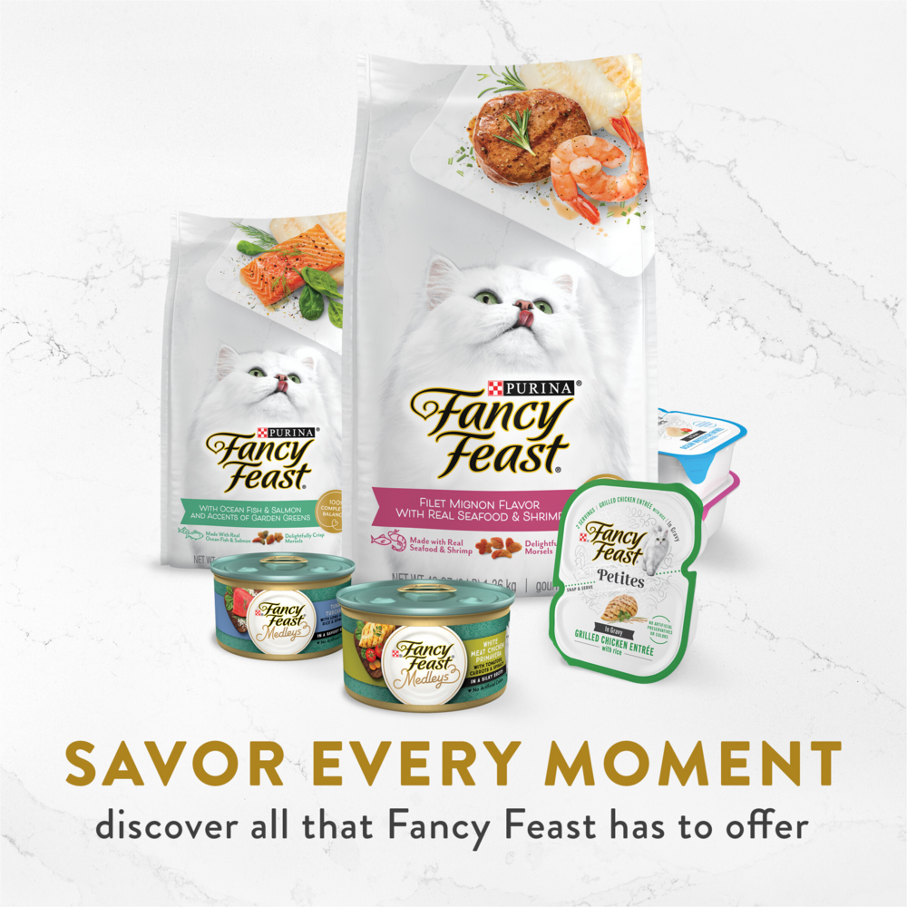 Purina Fancy Feast Creamy Broths Wild Salmon & Whitefish Wet Cat Food