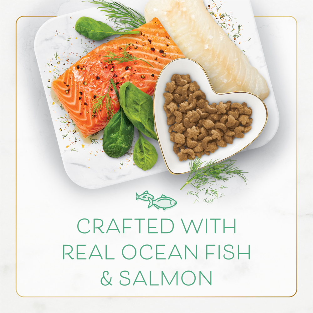 Purina Fancy Feast Gourmet Filet Oceanfish and Salmon Dry Cat Food
