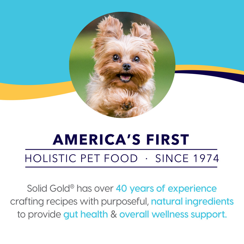 Solid Gold Nutrient Boost Formula Mighty Mini Grain Free Toy & Small Breed Recipe with Lamb, Sweet Potato, & Carrot Dry Dog Food