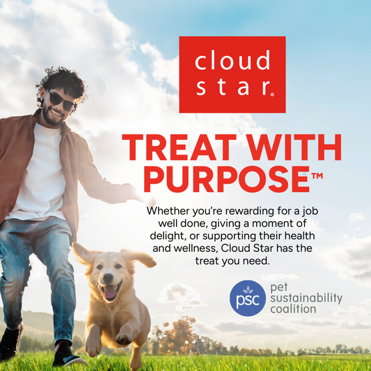 Dogswell Hip & Joint Jerky Beef Dog Treats