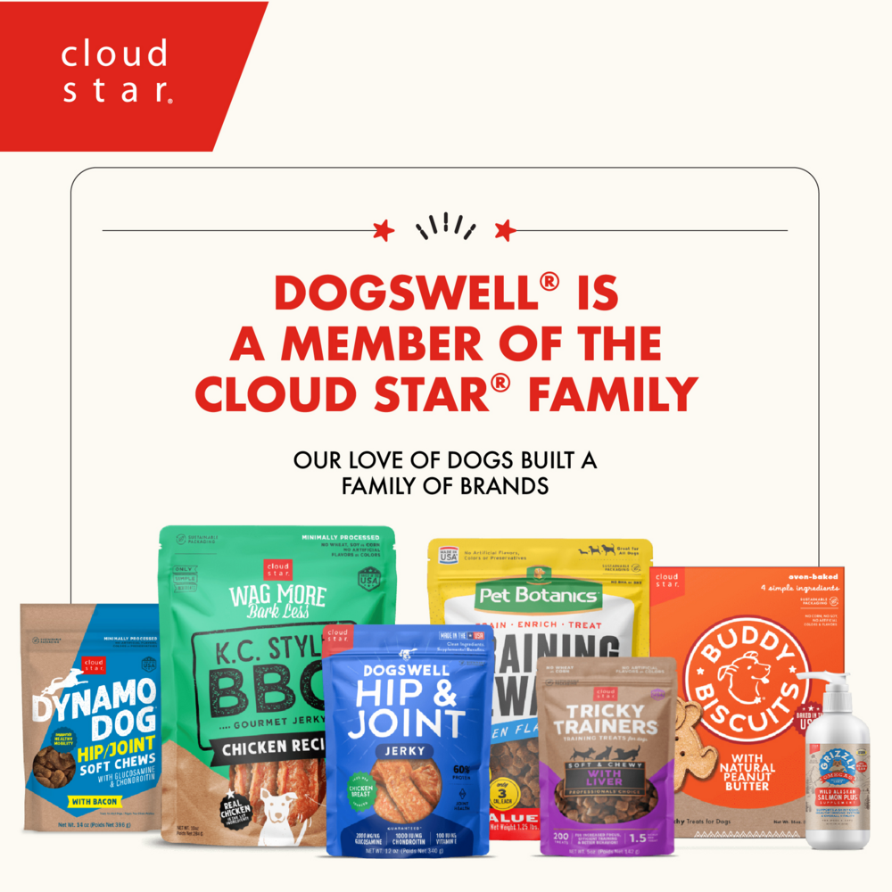 Dogswell Skin & Coat Soft & Chewy Salmon Dog Treats