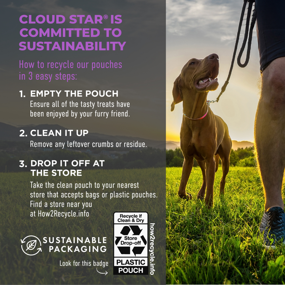 Cloud Star Tricky Trainers Soft & Chewy Grain Free Liver Dog Treats