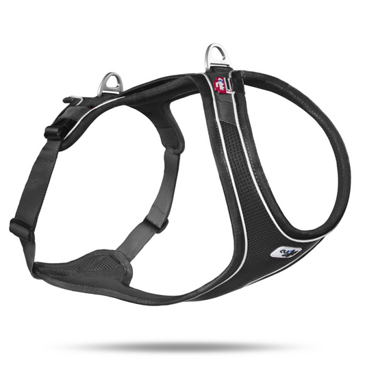 Curli Belka Comfort Harness Black