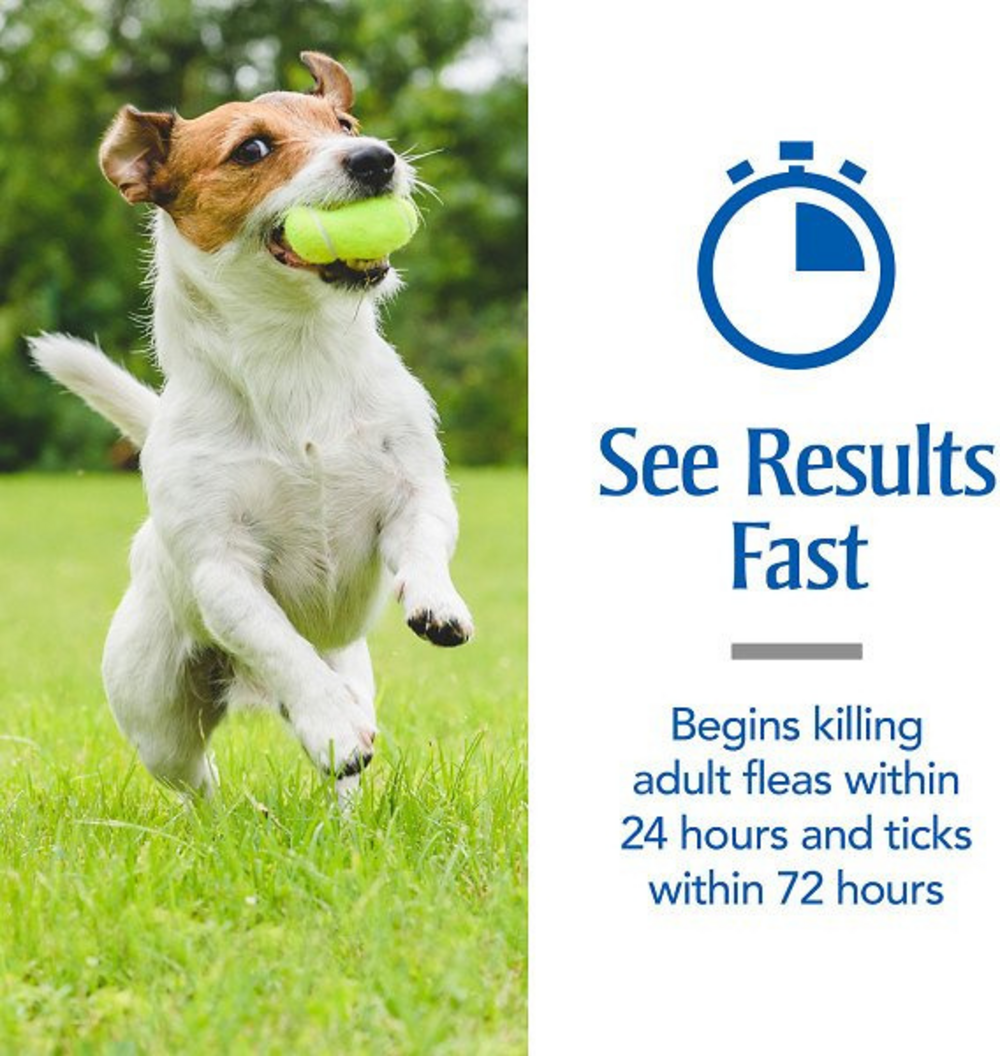 PetArmor Plus Flea & Tick Spot Treatment for Dogs 5-22 lbs