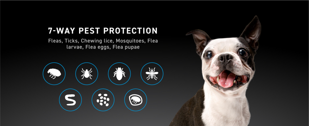 Nextstar Flea & Tick for Small Dogs