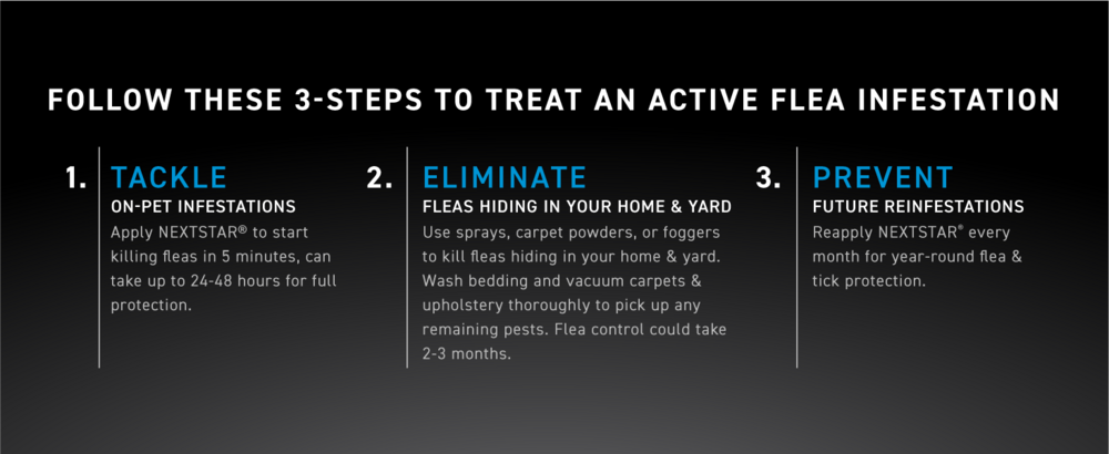 Nextstar Flea & Tick for Small Dogs