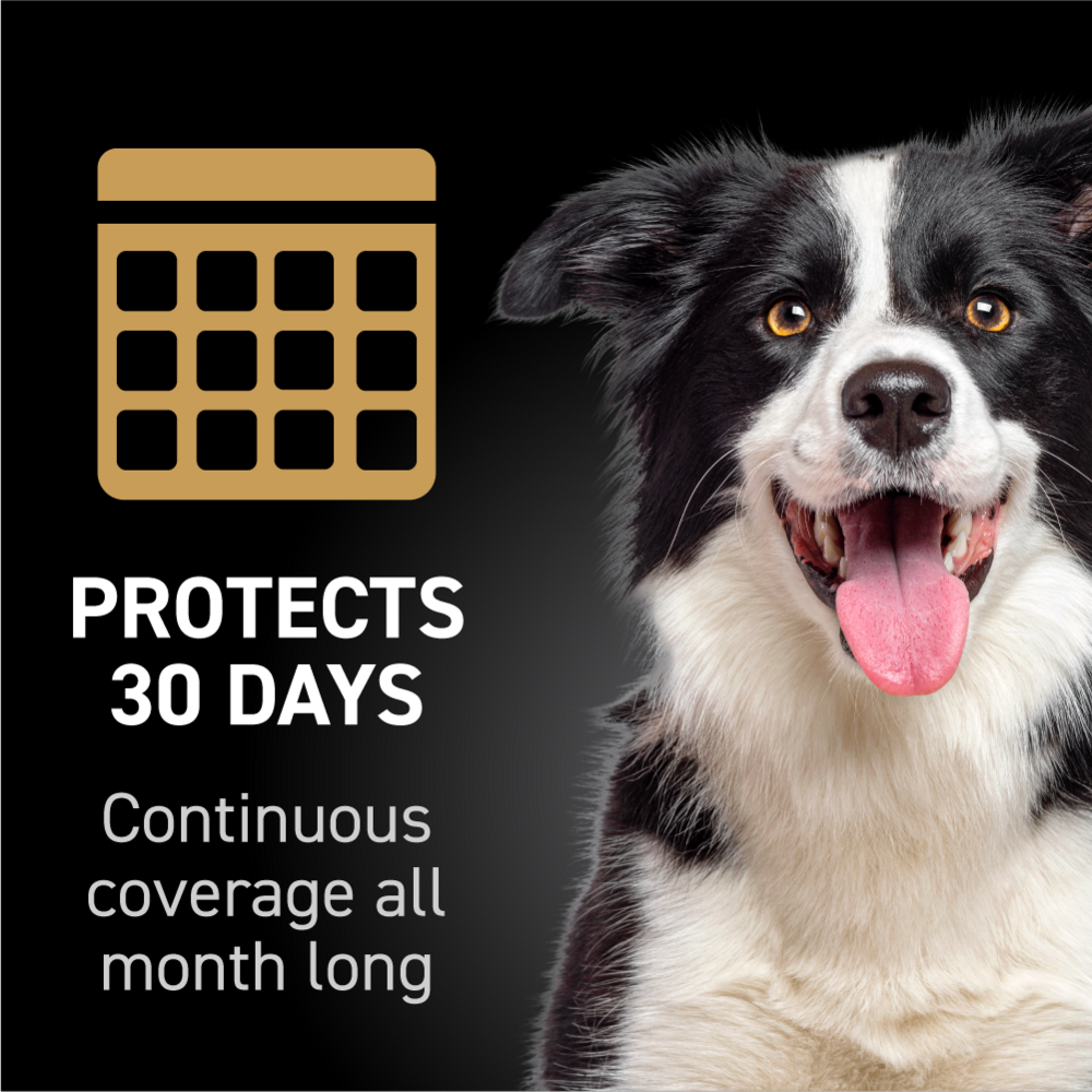 Nextstar Flea & Tick for Medium Dogs