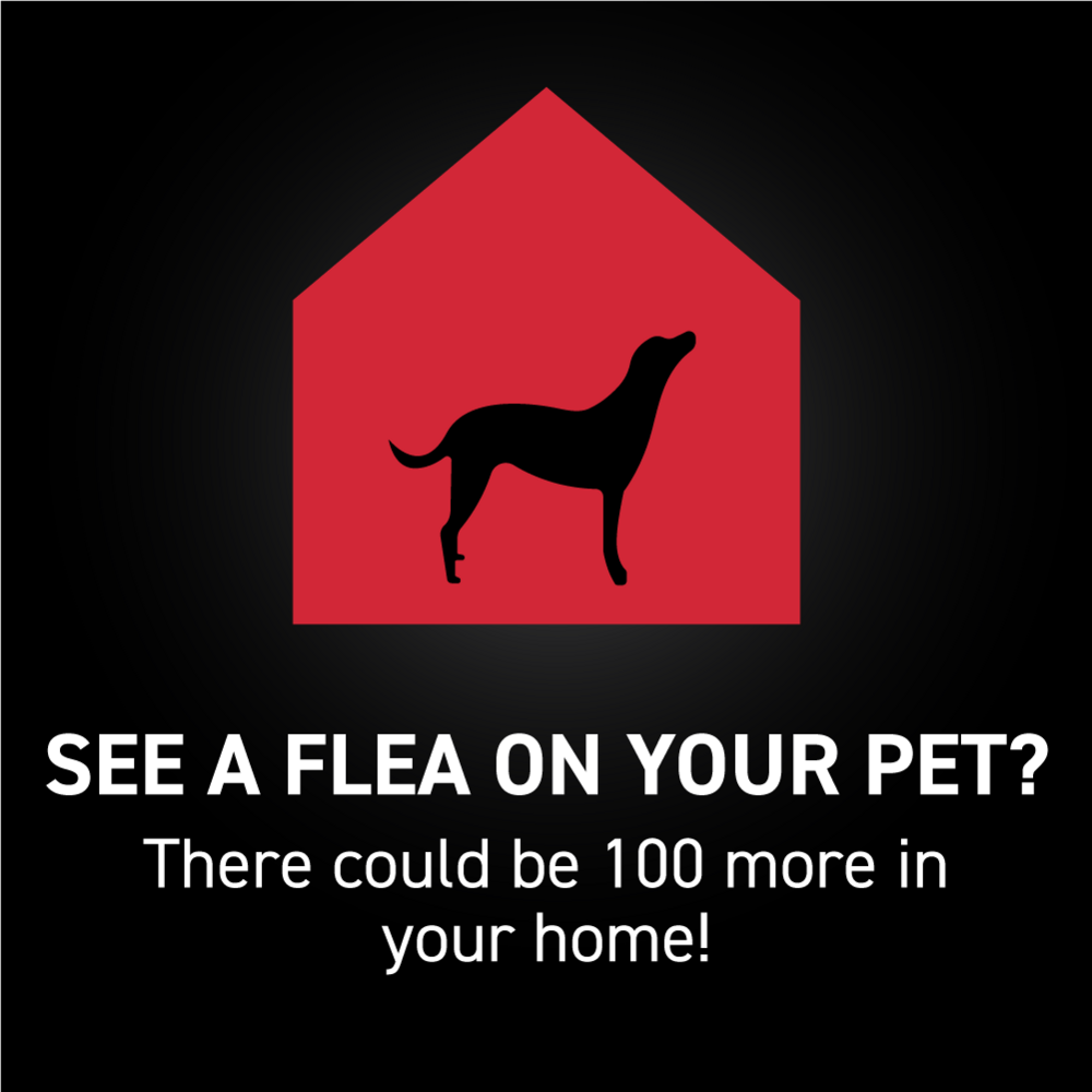 Nextstar Flea & Tick for X- Large Dogs