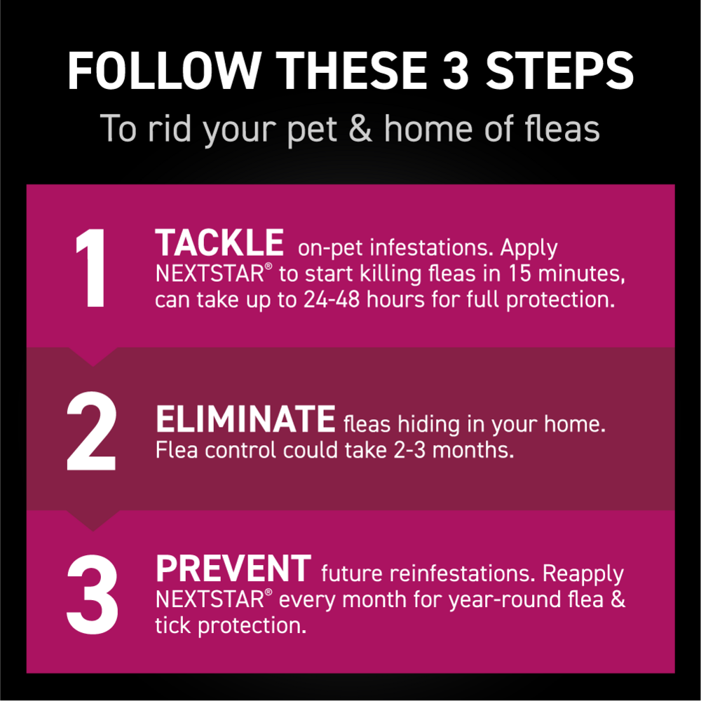Nextstar Flea & Tick Spot on for Cats