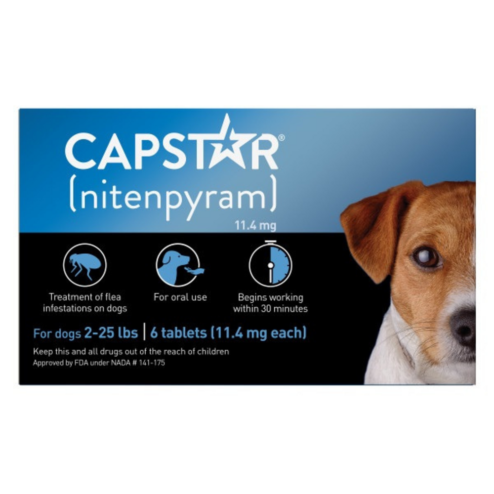 Flea & tick