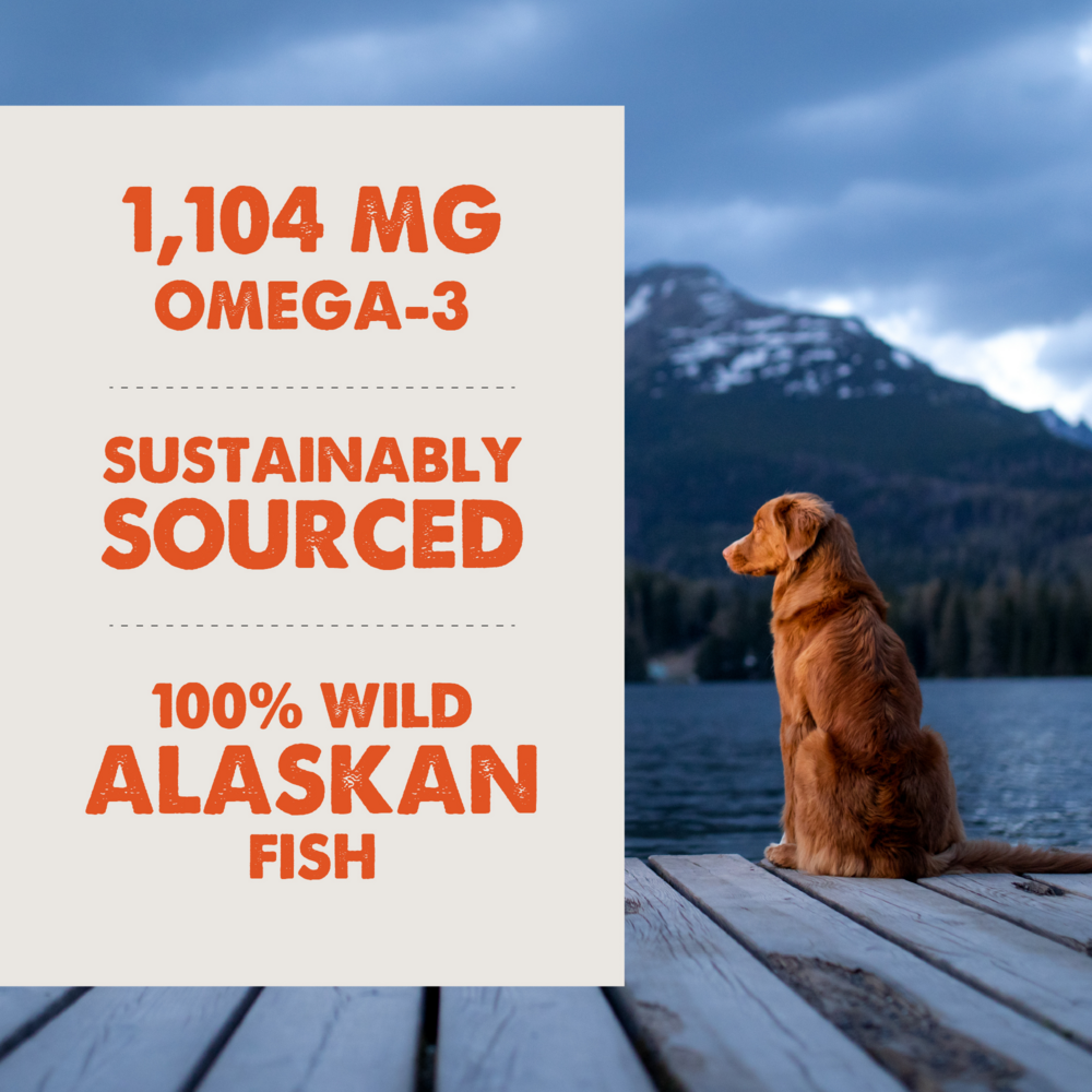 Grizzly Salmon Plus Omega 3-6-9 Food Supplement for Dogs and Cats