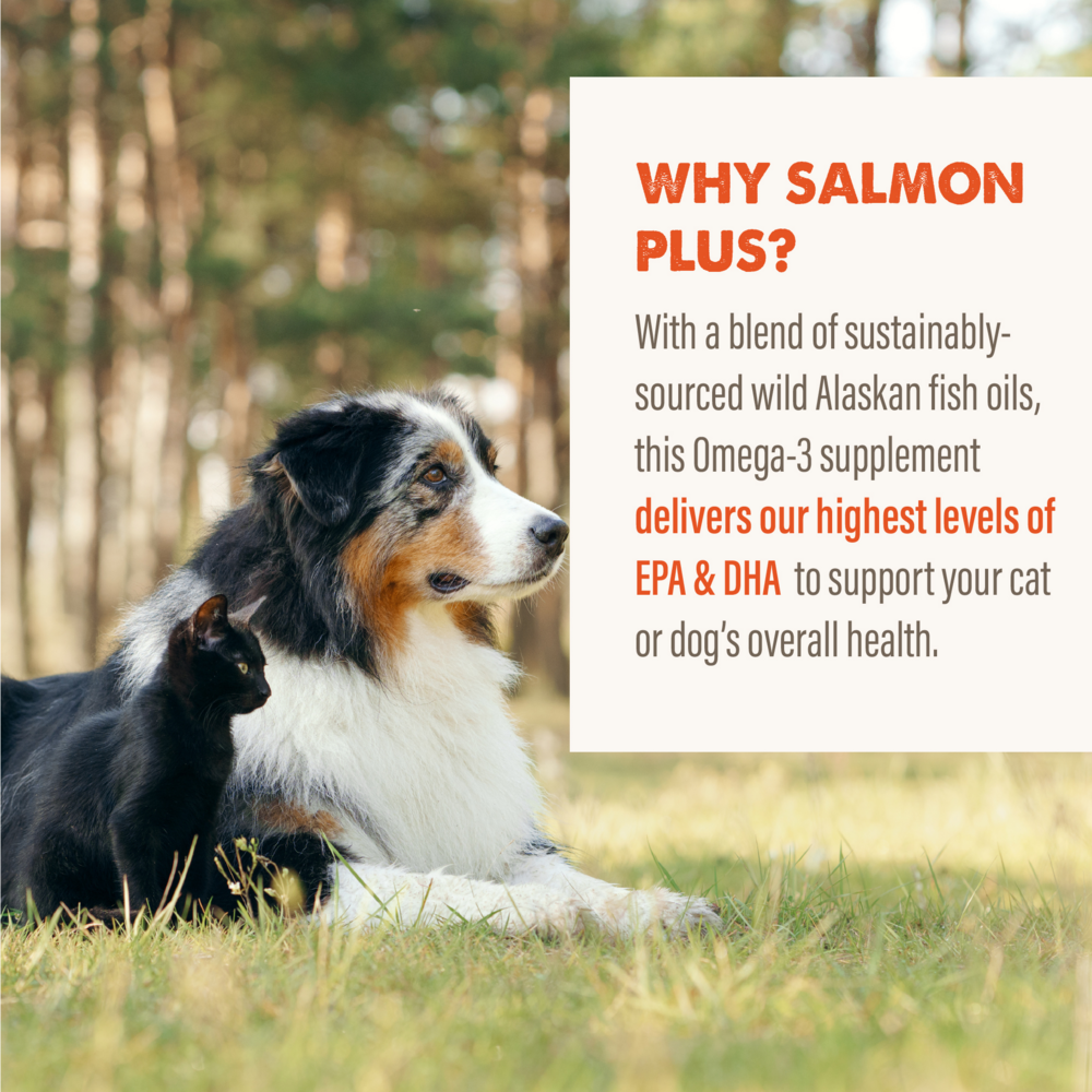Grizzly Salmon Plus Omega 3-6-9 Food Supplement for Dogs and Cats