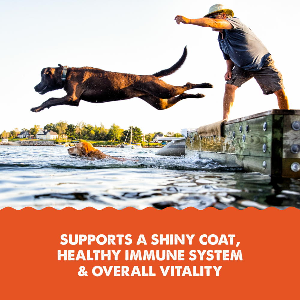 Grizzly Salmon Plus Omega 3-6-9 Food Supplement for Dogs and Cats