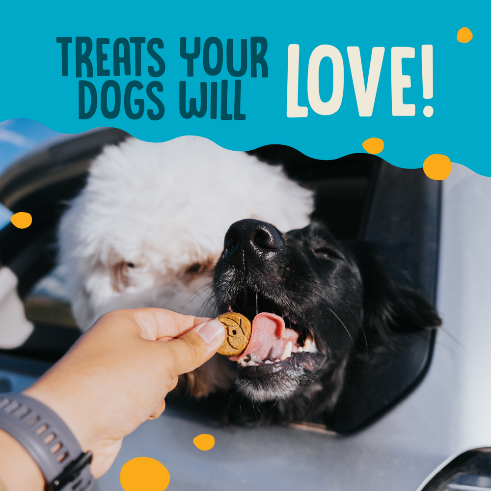 Earthbites Crunchy Grain Free Salmon Treats