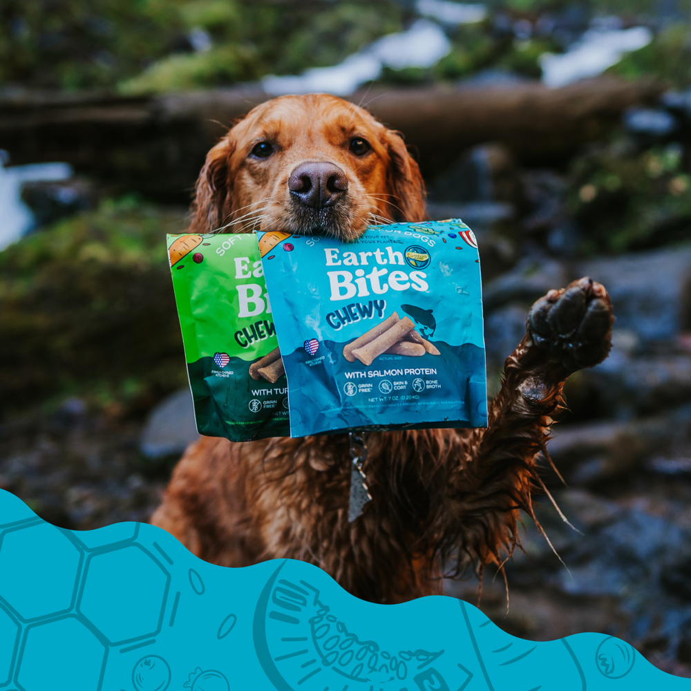 Earthborn Holistic Earthbites Chewy Salmon Dog Treats