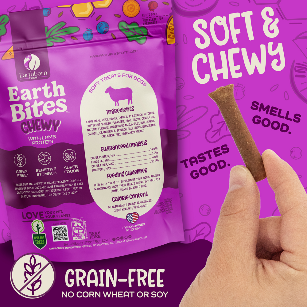 Earthborn Holistic Earthbites Chewy with Lamb Dog Treats