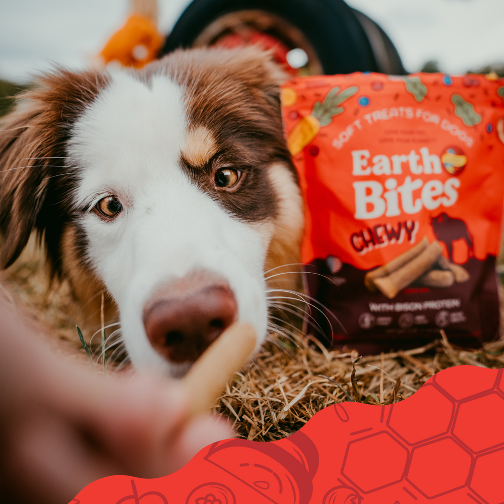Earthbites Chewy Bison Dog Treats