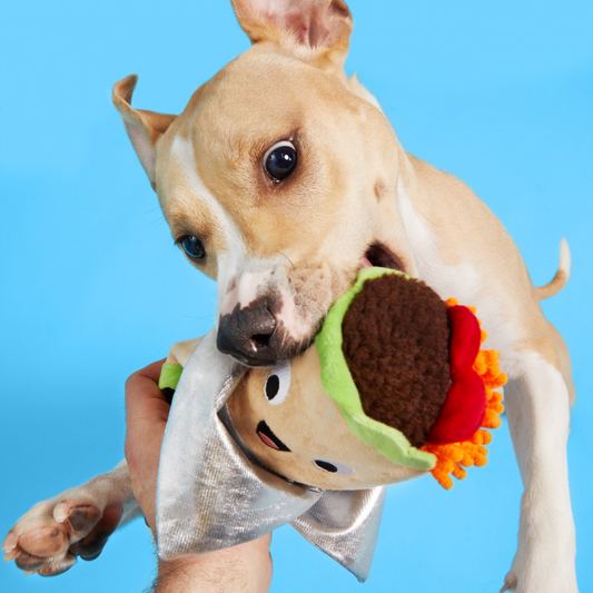 BARK Bebe Burrito Plush Dog Toy