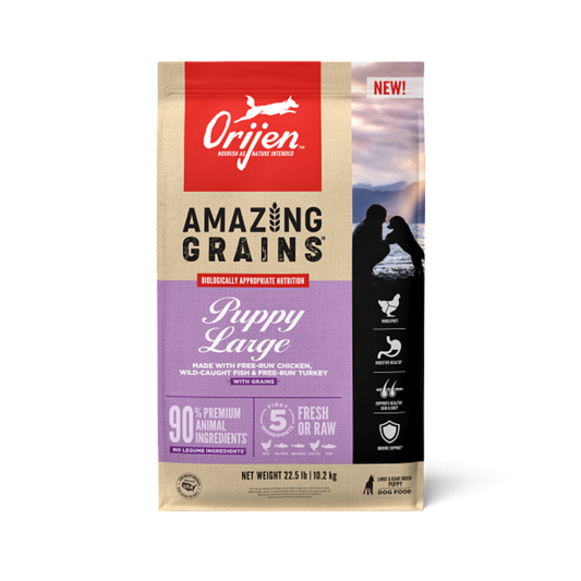 Orijen High Protein Amazing Grains Large Breed Puppy Dry Dog Food