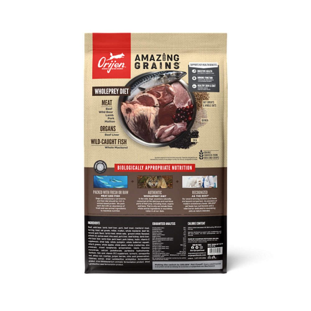 Orijen Amazing Grains Regional Red Dry Dog Food Beef, Boar, Lamb, Pork & Fish
