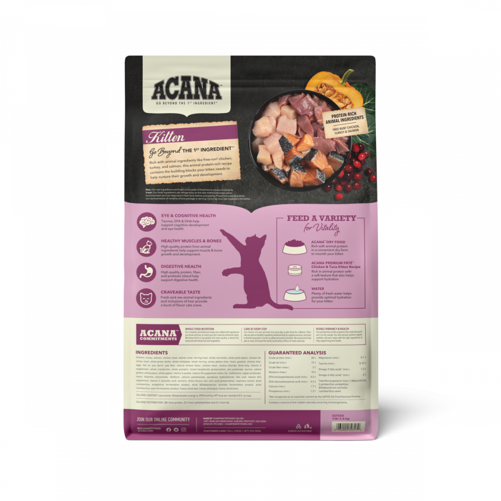 Acana Highest Protein Dry Food for Kittens