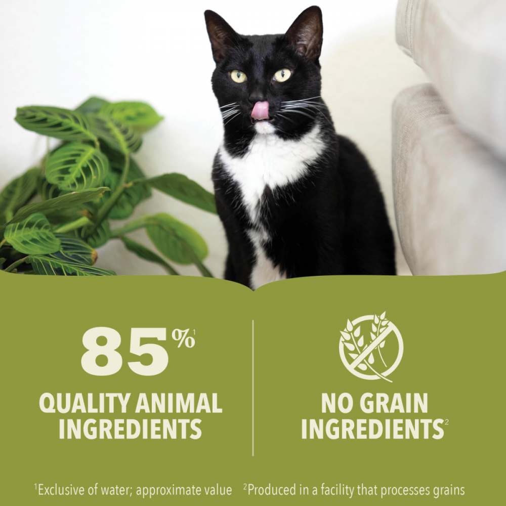 Acana Premium Pt Canned Kitten Food Chicken & Tuna