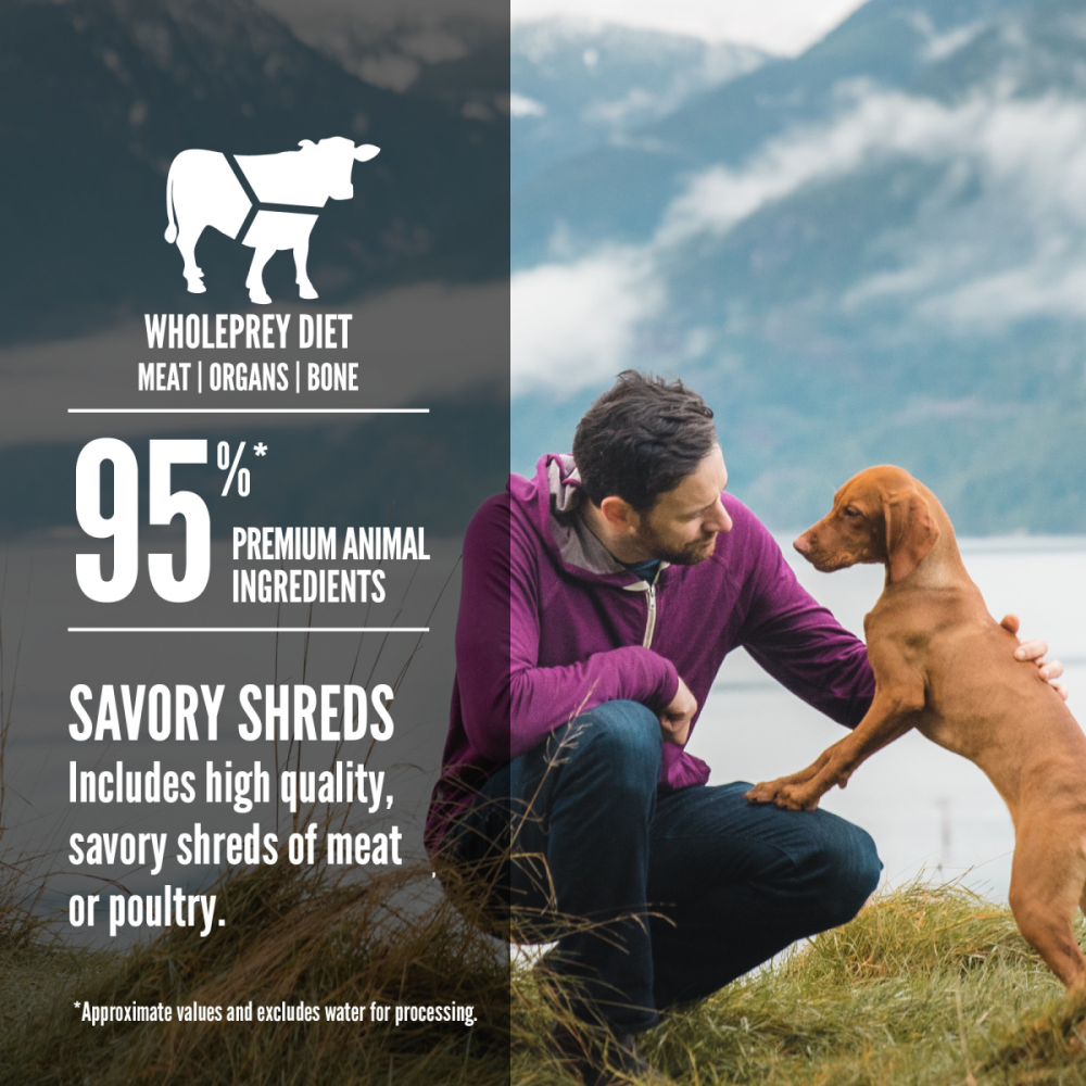 Orijen Real Meat Shreds, Grain-free, Regional Stew,  Premium Wet Dog Food