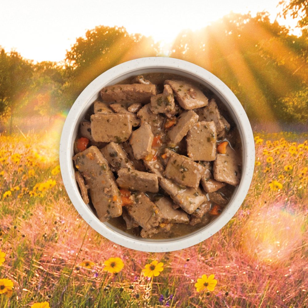 Acana Premium Chunks Canned Dog Food Beef