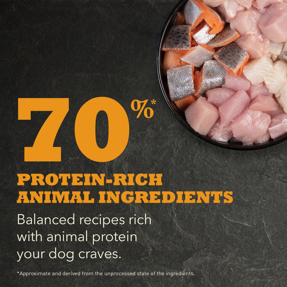 Acana Highest Protein Dry Dog Food Meadowland Recipe