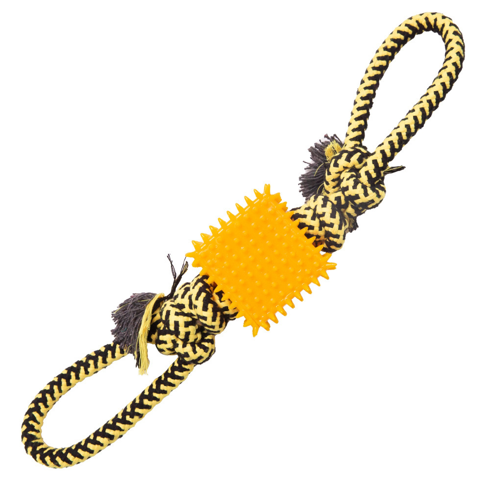 Snugarooz Tug-N-Cube Tug Dog Toy